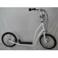 Trottinette à cadre en acier 16 &quot;(H1616)